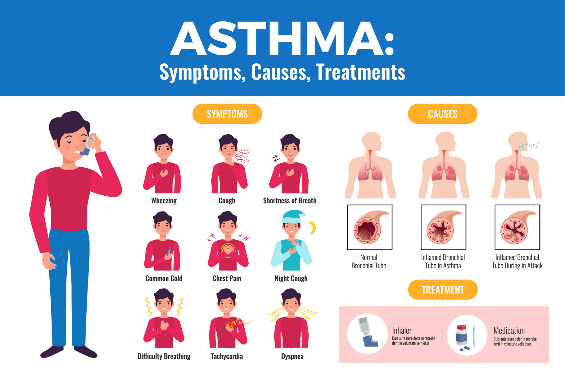 Asthma infographics poster | Education Illustrations ~ Creative Market