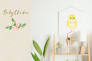 Baby Chicken. Watercolor Clipart