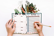 Planner Template, an Object Graphic by Alyonka_lis (Thumbnail 7 of 10)