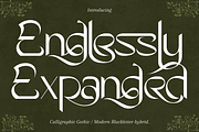 Endlessly Expanded - Ligature Sans, a Sans Serif Font by 177Studio (Thumbnail 1 of 8)
