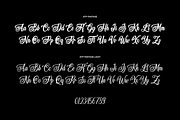 Fantase – Modern Handwritten Script, a Script Font by Typeparties (Thumbnail 11 of 11)