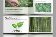 Botanical Magazine Landscape, a Magazine Template by MightyDesign (Thumbnail 5 of 9)