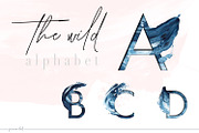 Storm in Hawaii - Acrylic Alphabet, an Object Graphic by Jeanina Vlad (Thumbnail 3 of 9)