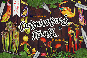 Carnivorous Plants Collection