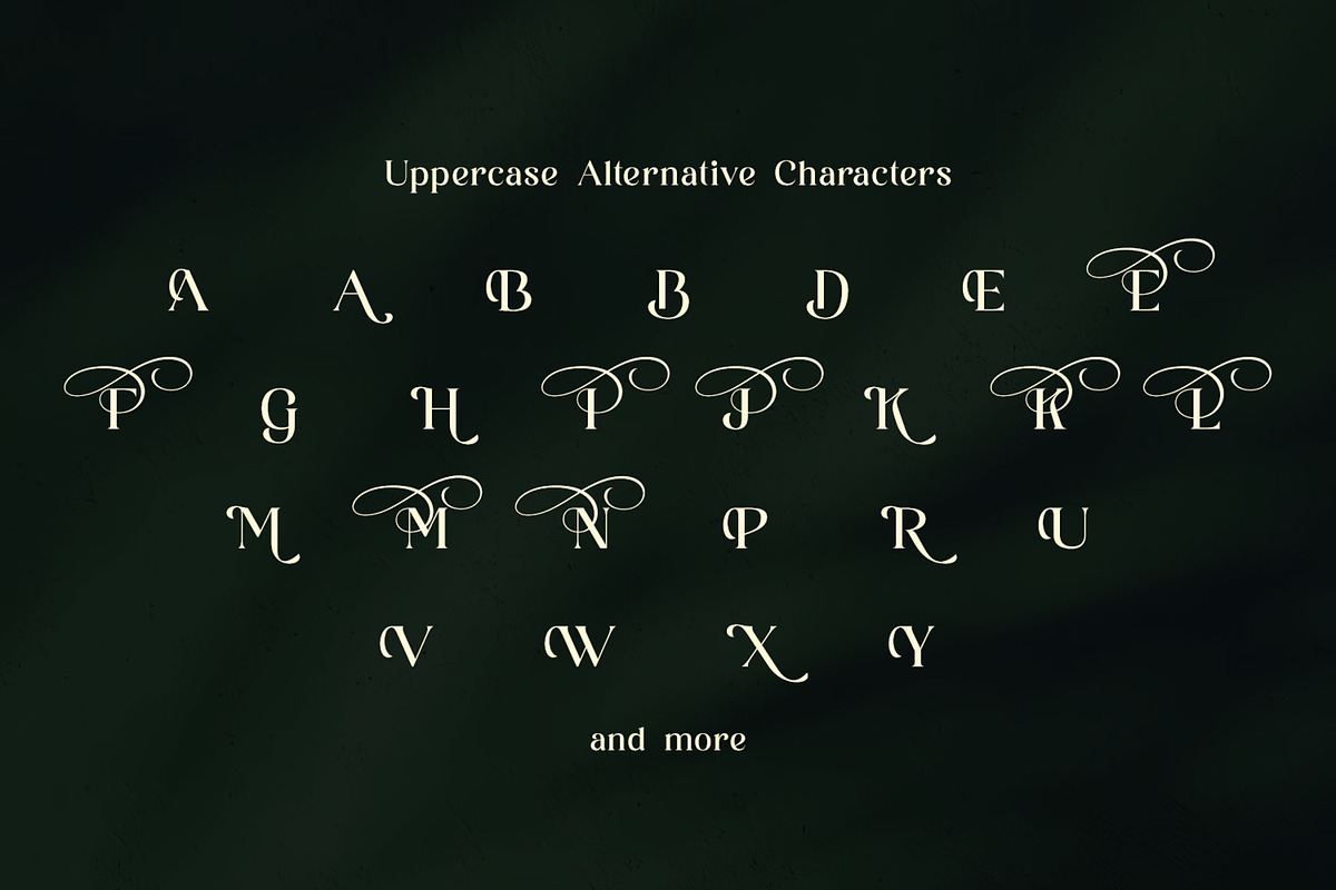 Ladya | Serif Display Font, a Serif Font by Ekahermawan (Photo 10 of 15)