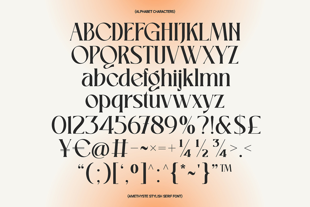 Amethyste Modern Stylish Serif Font, a Serif Font by Heinzel Std (Photo 12 of 15)