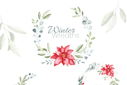 Winter Botanical Watercolor Set, a Decorative Illustration by Liliia Polos Illustration (Thumbnail 5 of 10)