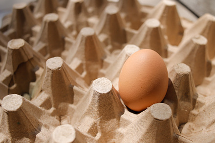 Fresh organic panel eggs on sackclot, a Food & Drink Photo by bastera