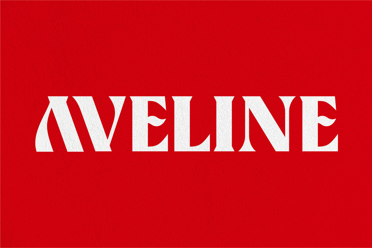 Mini-Pack Display Font Bundel+ Bonus, a Font by Bagerich Type Foundry (Photo 6 of 11)