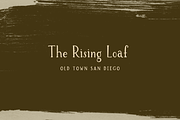 Brioche Rustic Serif Font Family, a Serif Font by Beck McCormick (Thumbnail 9 of 10)