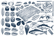 Sushi Vector Collection, a Food Illustration by Lubov Illustrations Shop (Thumbnail 2 of 5)