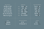 Ghadir, Botanical Display Font, a Sans Serif Font by Namela Studio (Thumbnail 7 of 10)