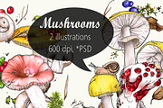 Mushrooms (2 illustrations), an Illustration by 4erta (Thumbnail 1 of 4)