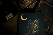 NIGHT MAGIC butterflies women flora, an Animal Illustration by ArtOLB (Thumbnail 5 of 14)