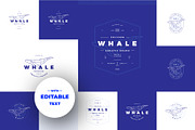 Polygonal Whale Logo Set, a Branding & Logo Template by blauananas (Thumbnail 2 of 9)