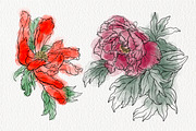 Stamp brushes for Procreate peonies, a Brush Add-On by ViktoriArt (Thumbnail 7 of 7)