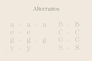 Aurelius - Feminine Chic Serif, a Serif Font by Harmonais Visual (Thumbnail 27 of 35)