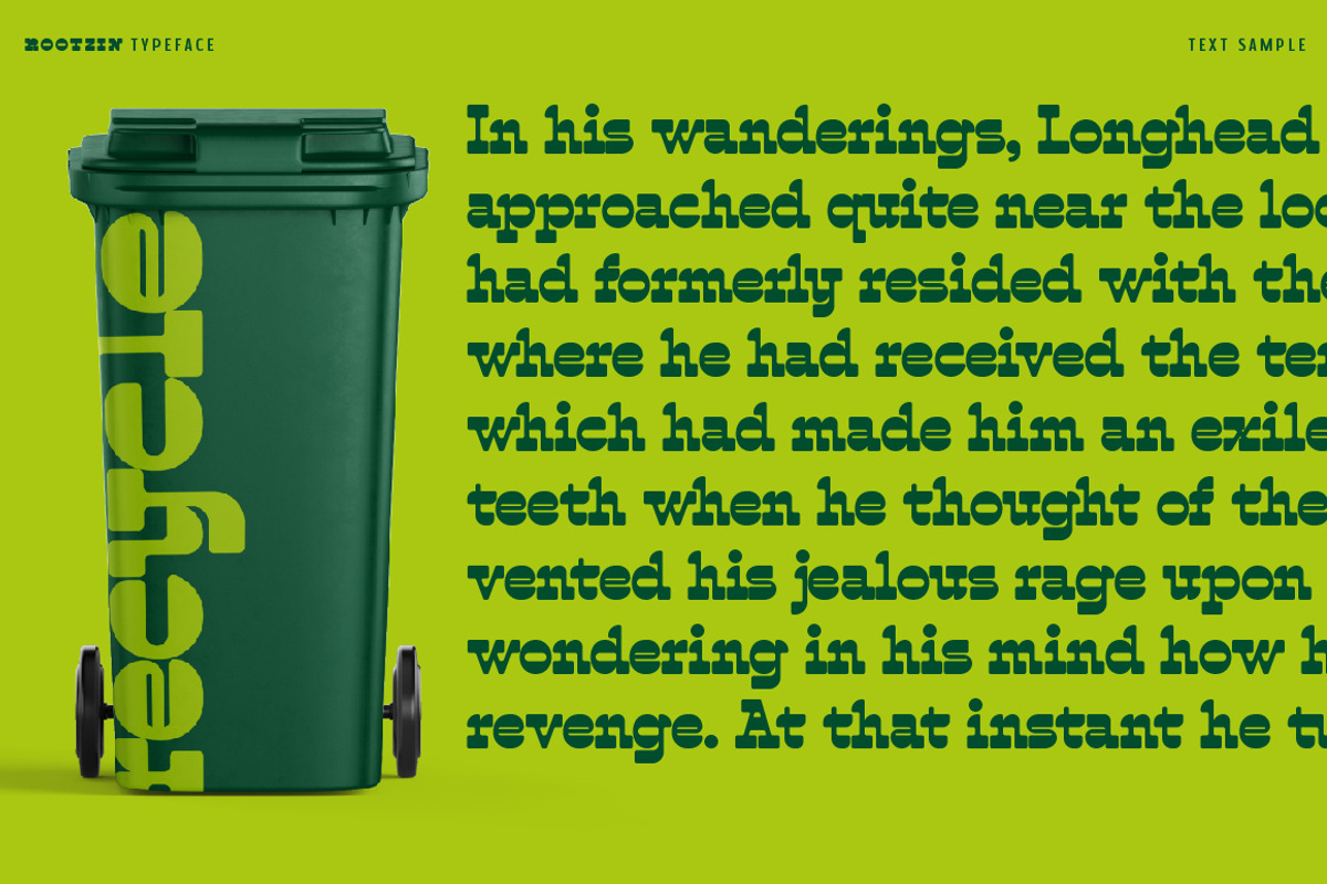 Rootzin, a Slab Serif Font by Typogama (Photo 5 of 15)