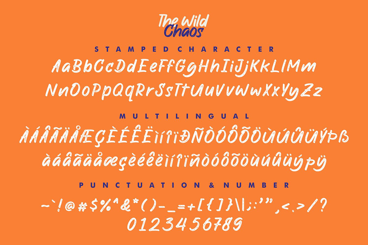 The Wild Chaos Font, a Script Font by Allouse Studio (Photo 15 of 16)