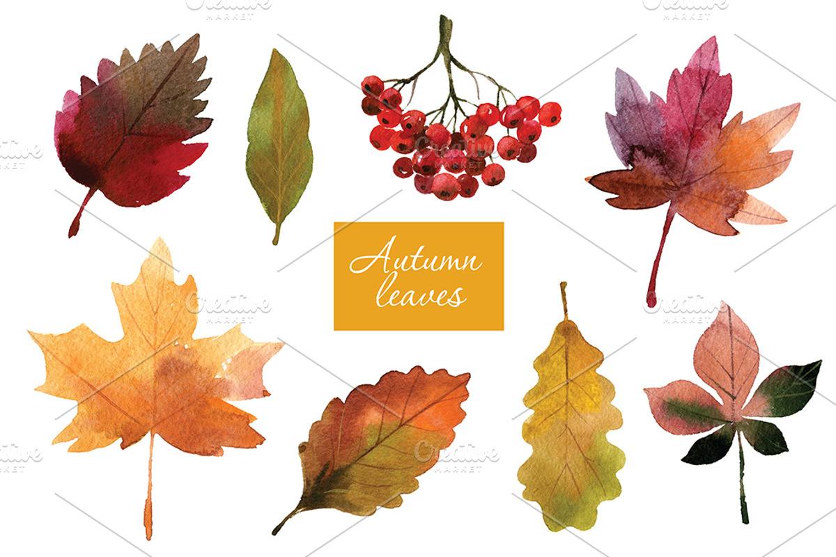Watercolor autumn leaves, an Illustration by lenlis (Photo 1 of 5)