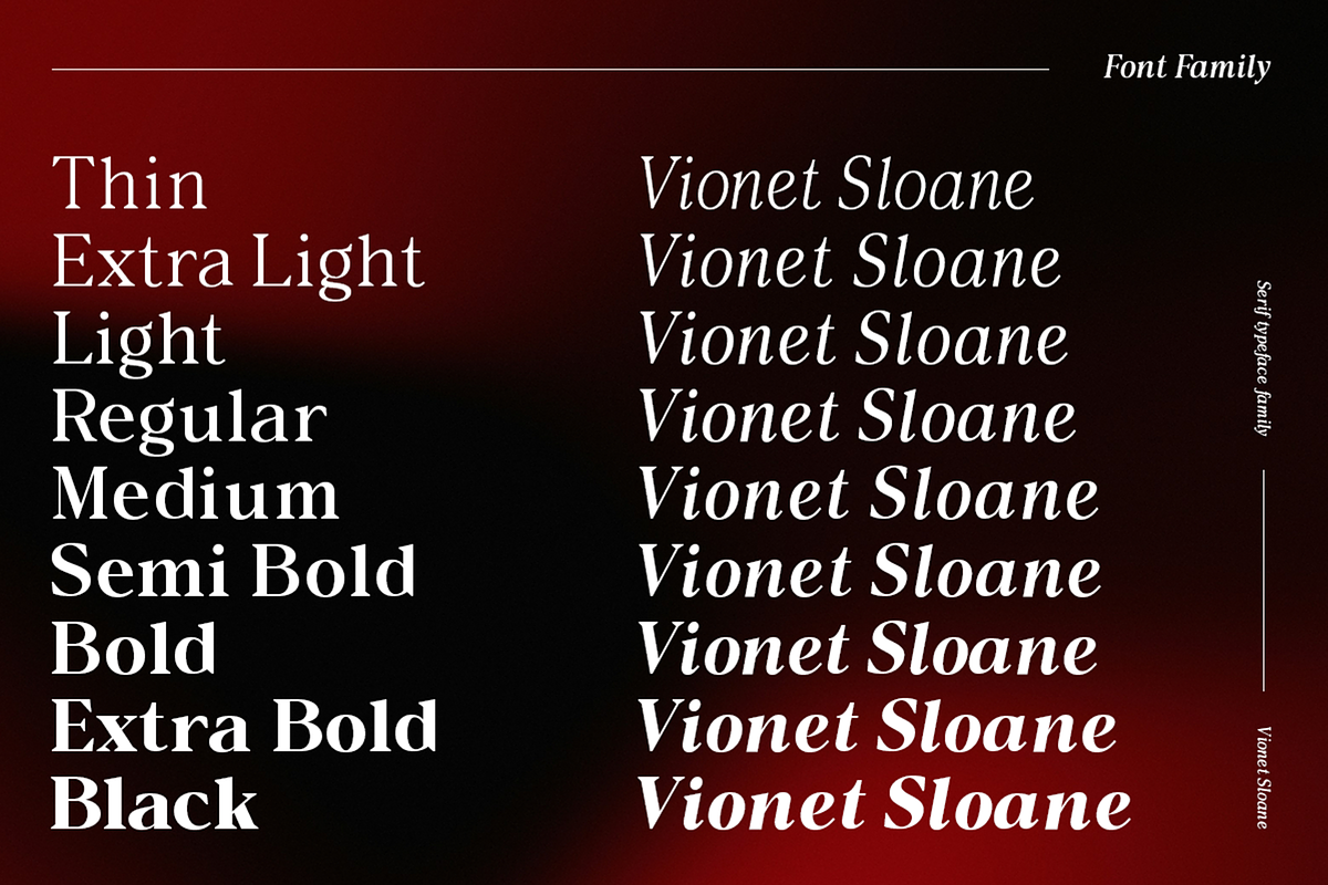 Vioneta Sloane – Serif Font, a Serif Font by roomspace creative lab (Photo 5 of 14)