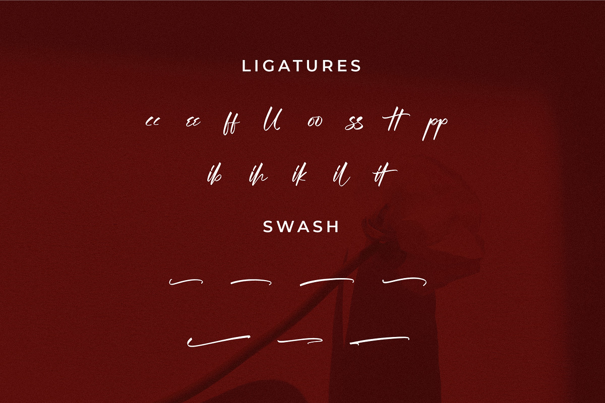 Wegirose, a Script Font by Integritype Studio (Photo 11 of 15)