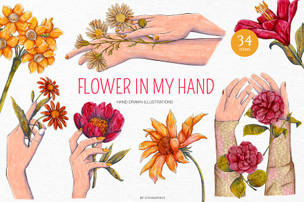 Flower in my Hand Illustrations