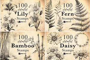 2000 Botanical Lover Stamp Brushes