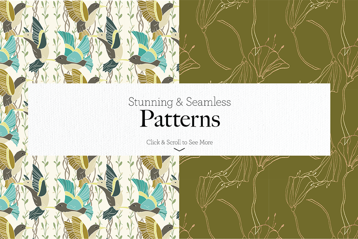 Fancy Hummingbird Collection, a Texture Illustration by DesignsByMissM (Photo 3 of 4)