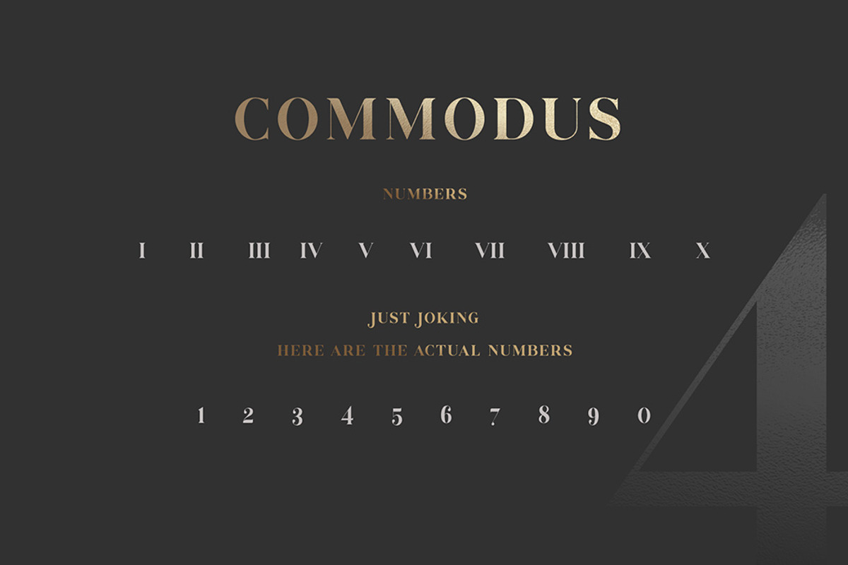 The Versatile Font Bundle, a Sans Serif Font by AlienValley (Photo 44 of 141)