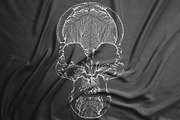 The Skull Growth, a Decorative Illustration by GarryKillian (Thumbnail 4 of 6)