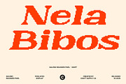 Galeno Rounded Pixel, a Serif Font by Craft Supply Co. (Thumbnail 3 of 8)