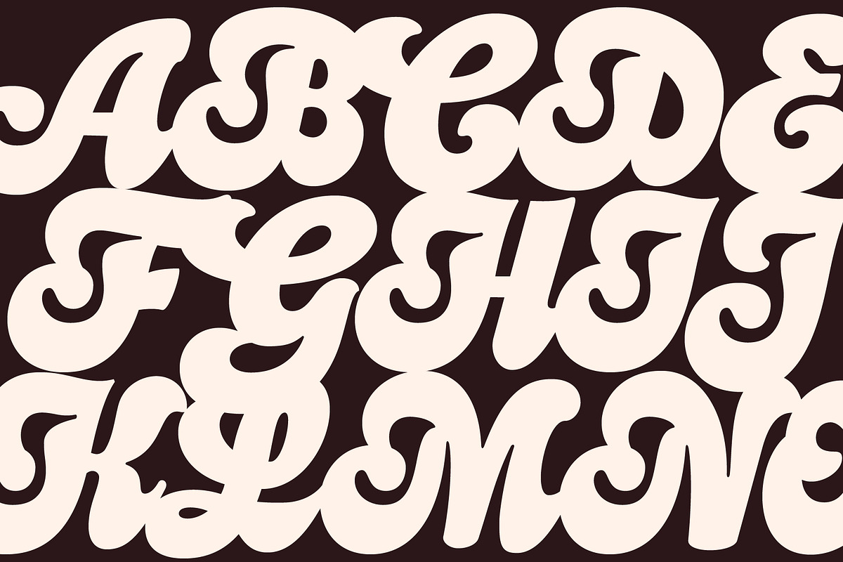 Cardin, a Script Font by Flavortype (Photo 3 of 21)