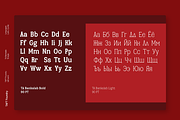 TA Bankslab Shadow, a Slab Serif Font by TAFT Foundry (Thumbnail 6 of 12)
