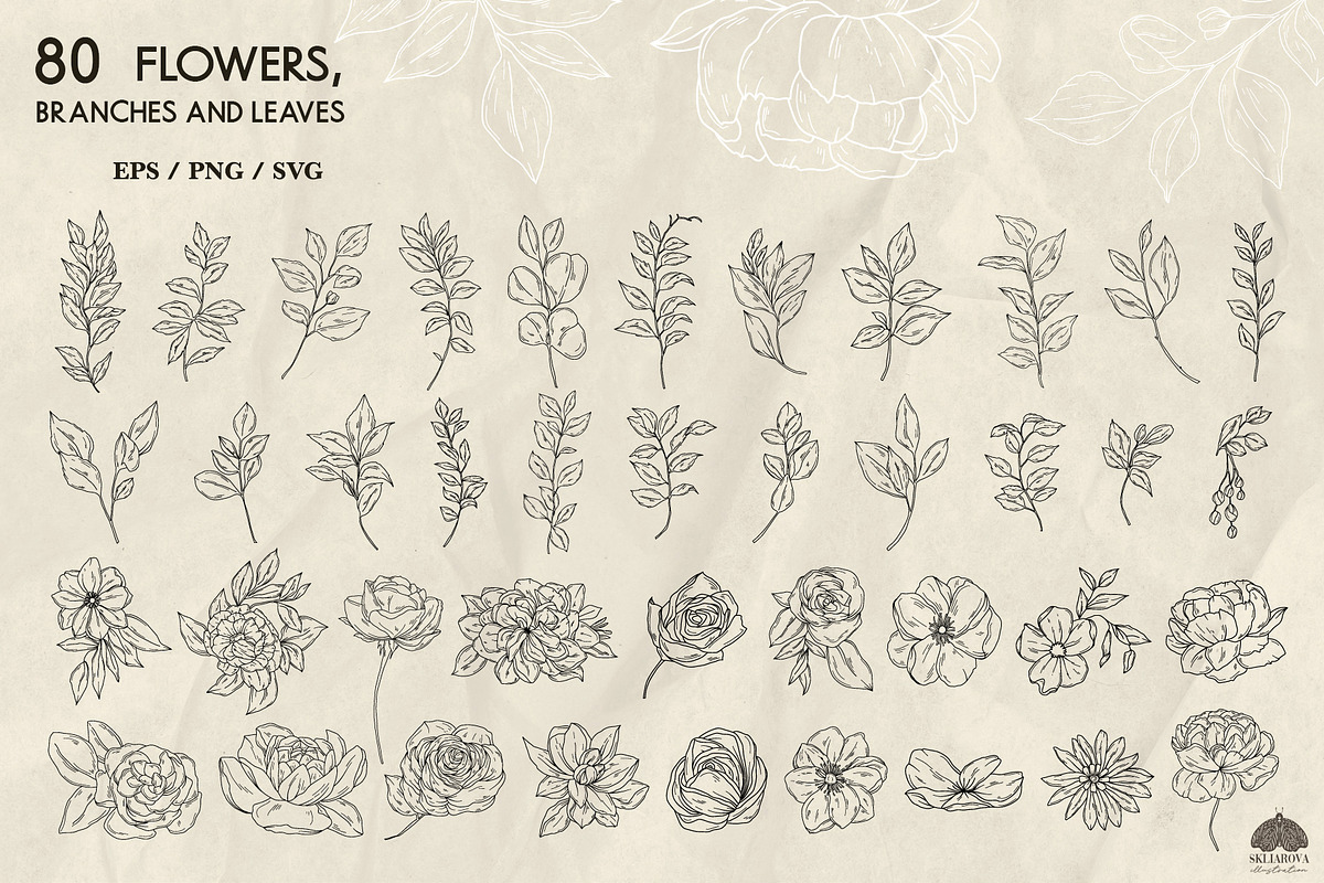 Botany Line Art Collection, a Decorative Illustration by Skliarova (Photo 2 of 10)