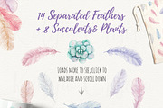 Boho Watercolor Set Florarium, a Work Illustration by SOVA (Thumbnail 5 of 5)