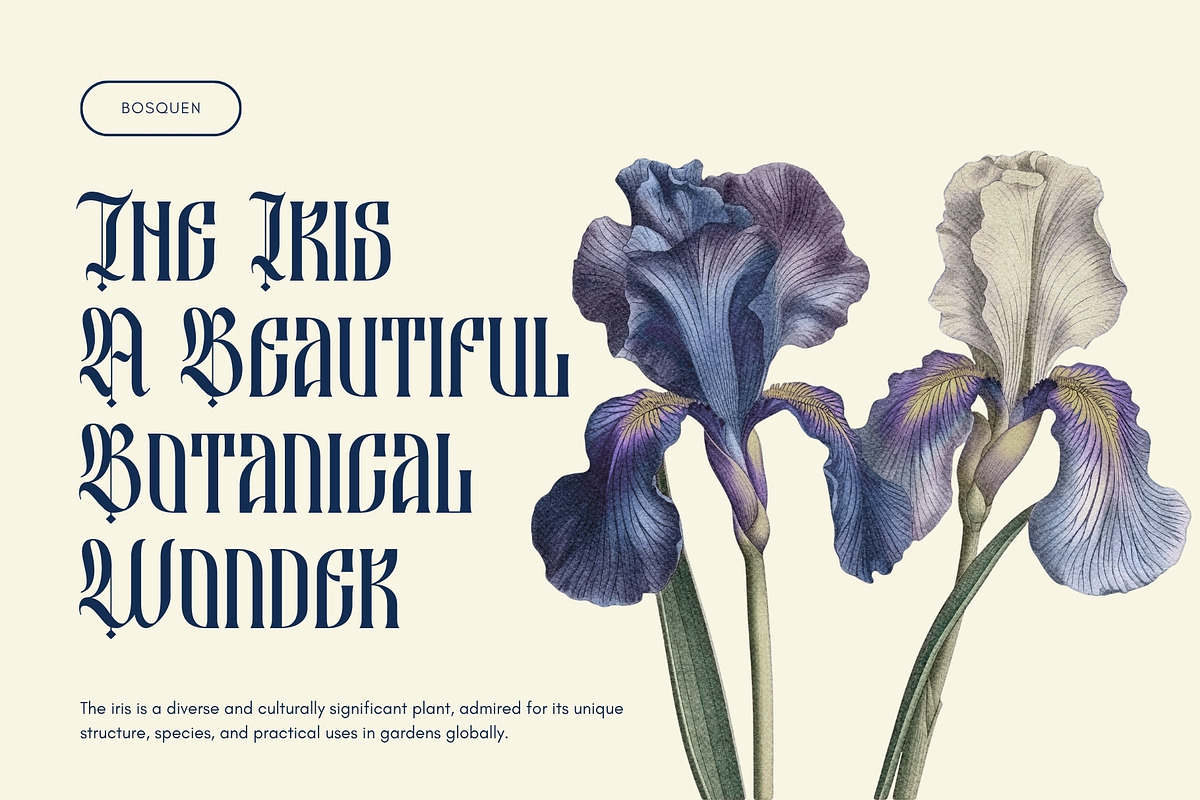 Besquen Modern Gothic Typeface, a Blackletter Font by Heinzel Std (Photo 7 of 13)