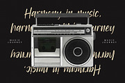 Bookshelf Infinites, a Handwritten Font by Integritype Studio (Thumbnail 4 of 14)