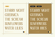 TBJ Palatino San serif With Serif, a Serif Font by Taboja Studio (Thumbnail 23 of 26)