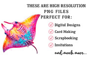 Brushstroke Neon Summer Clipart, an Illustration by OK Design (Thumbnail 6 of 6)