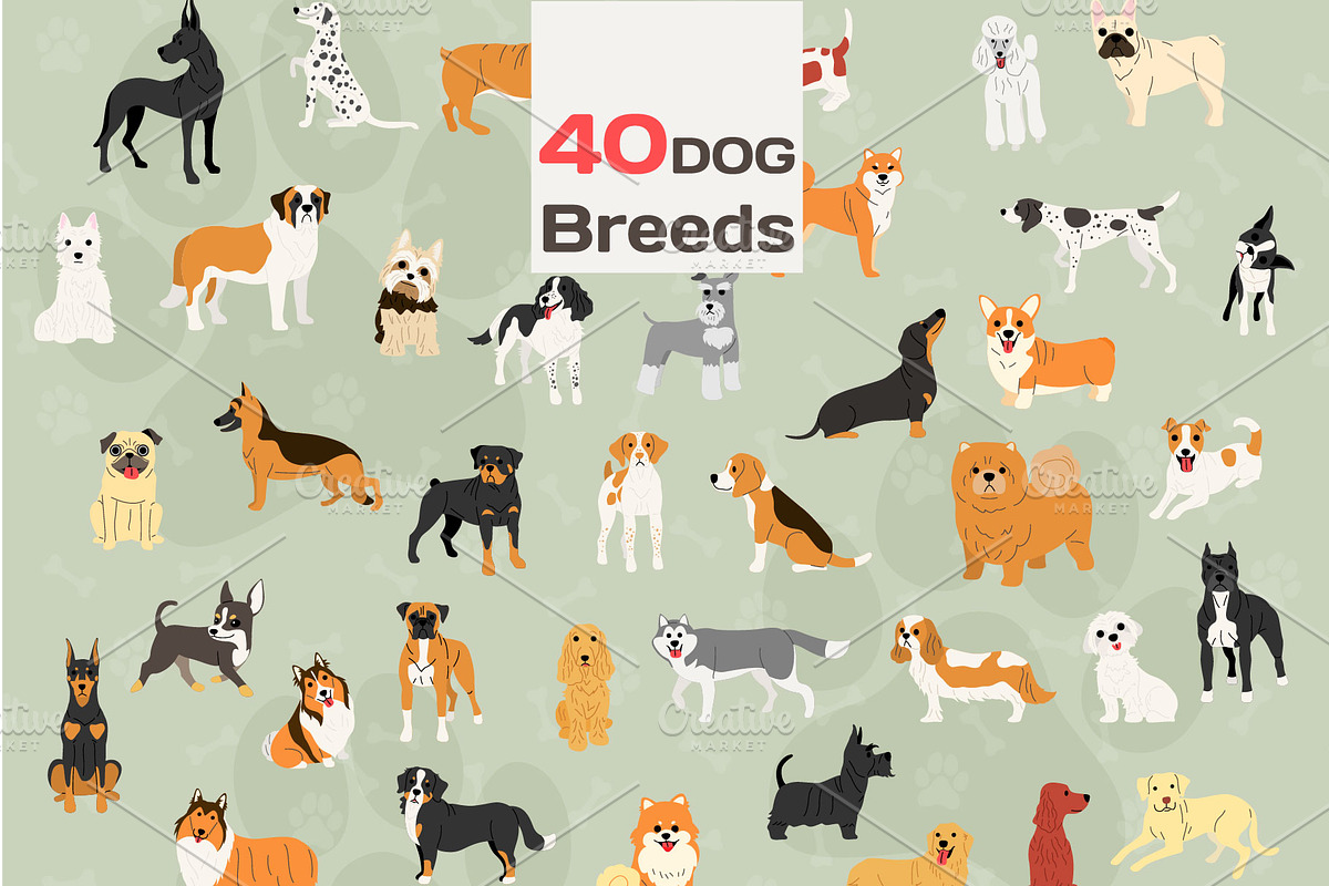 40 dog breeds vector illustration, an Illustration by faitotoro (Photo 1 of 3)