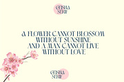 Aluest - Elegant Modern Font, a Serif Font by Luna Shop (Thumbnail 5 of 7)