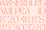 Niasec Lux Elegant Display Font, a Sans Serif Font by Casloop Studio (Thumbnail 13 of 15)