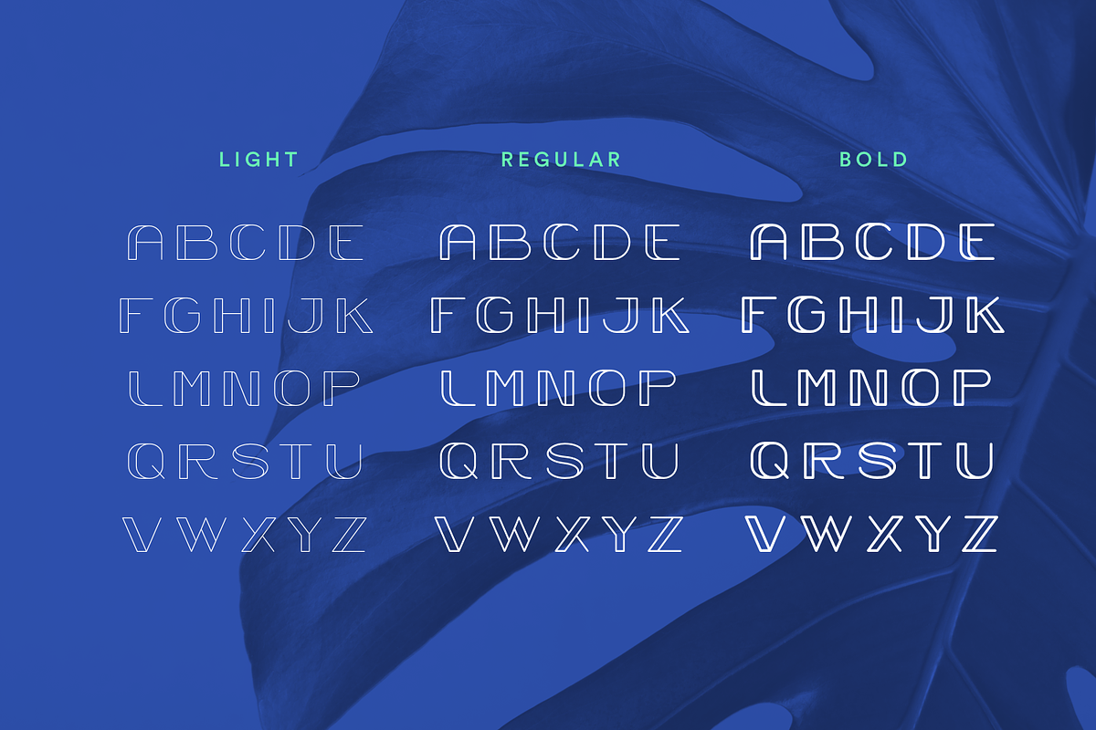 Trindle Sans | Display Font preview 4