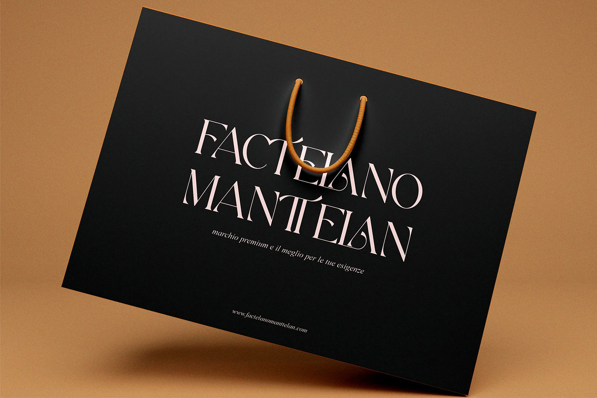 Biors || Modern Serif Font, a Script Font by Idea Studio (Photo 6 of 10)