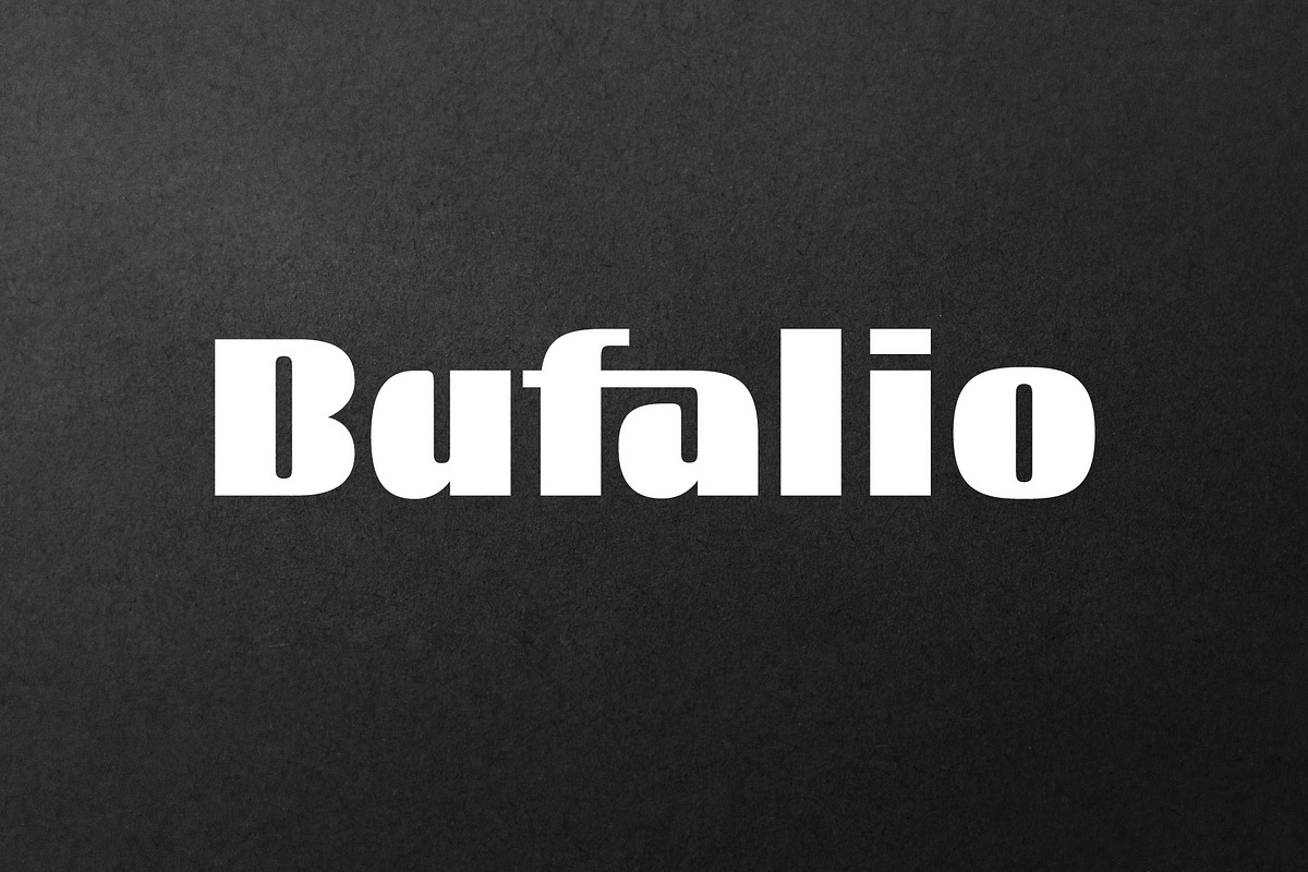 Bufalio Modern Bold Font, a Sans Serif Font by AuthenType (Photo 1 of 10)