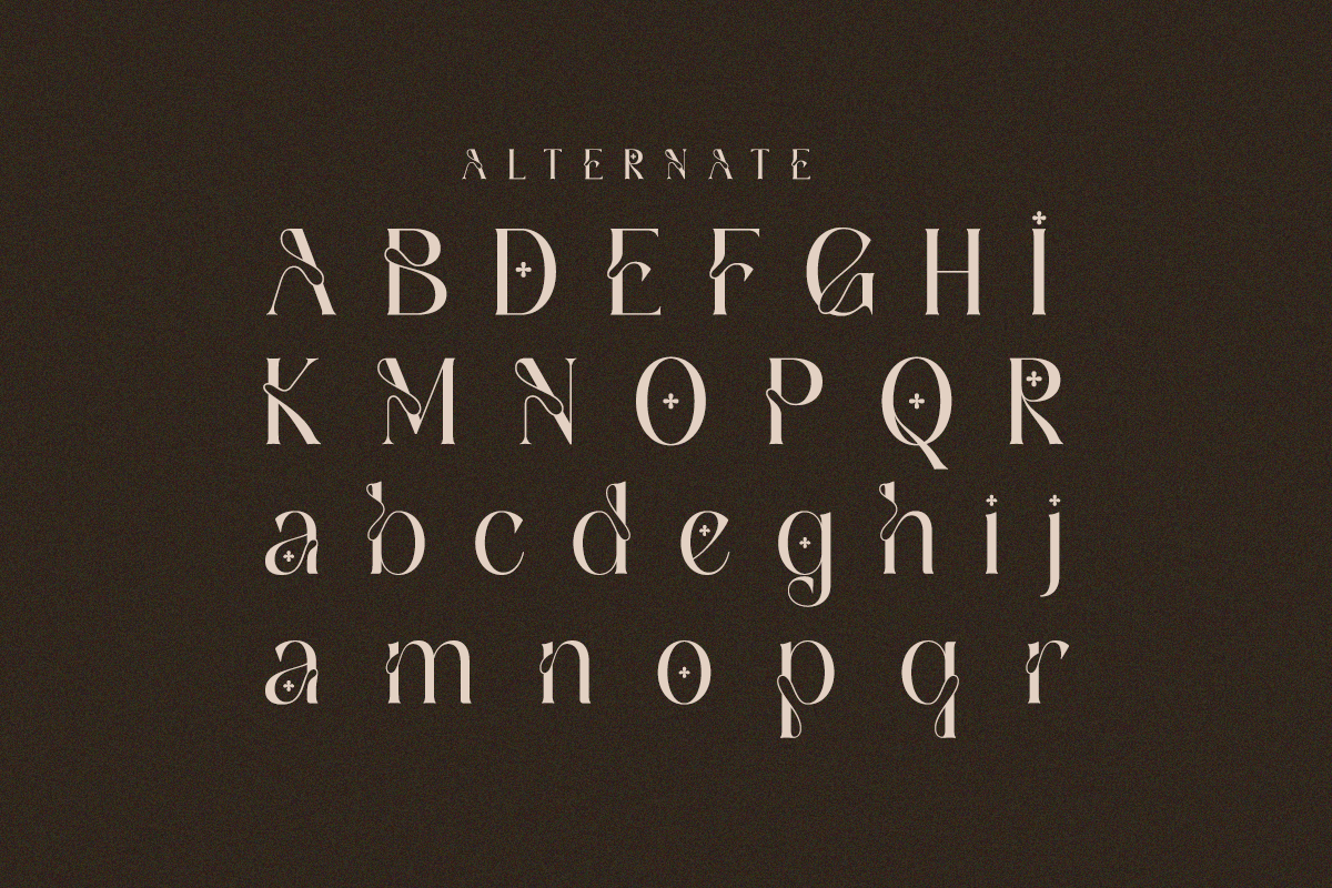 Blastigo - A Modern Stylish Serif, a Serif Font by Qweera Studio (Photo 11 of 12)