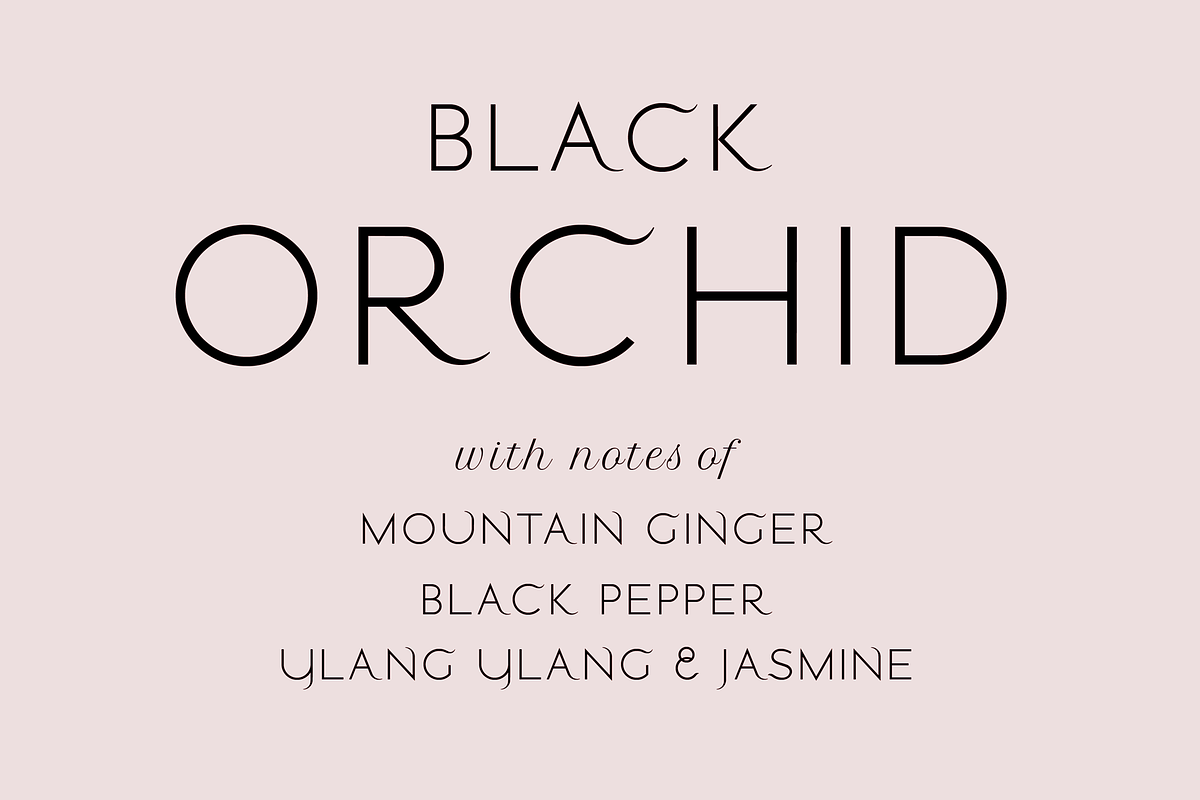 Stamford font family, a Sans Serif Font by LostandFoundry (Photo 2 of 11)