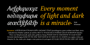 Narration, a Serif Font by PESIC (Thumbnail 6 of 8)