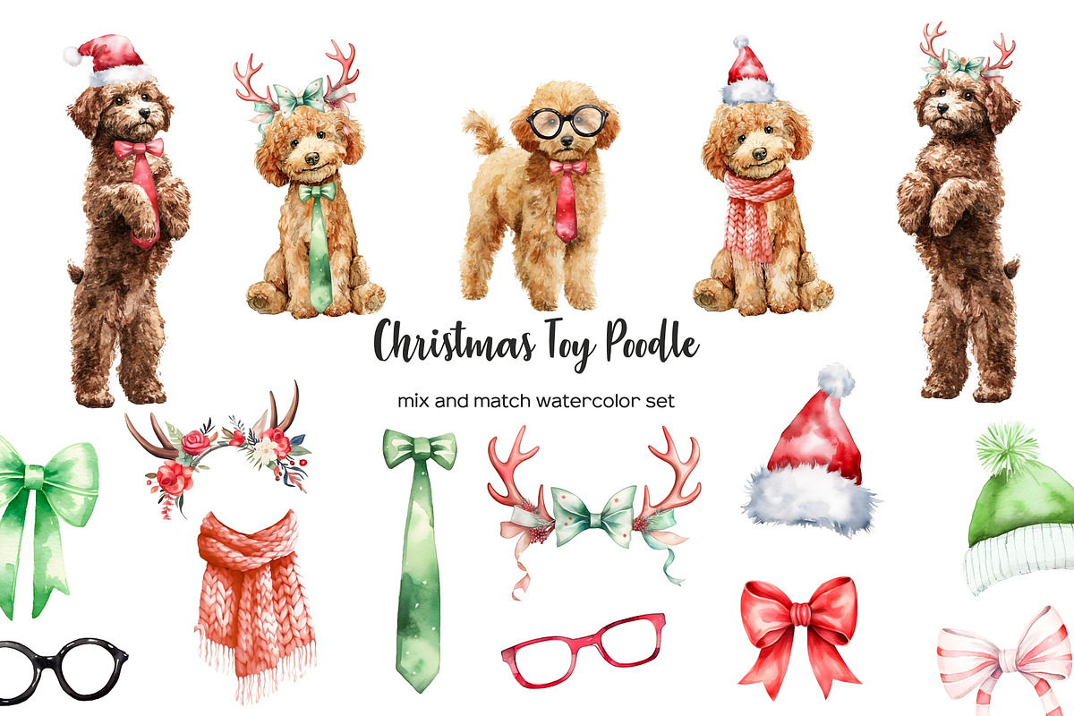 Watercolor Christmas toy poodle set, an Animal Illustration by Art and Funny (Photo 1 of 6)